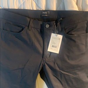 Theory Blue Pant
